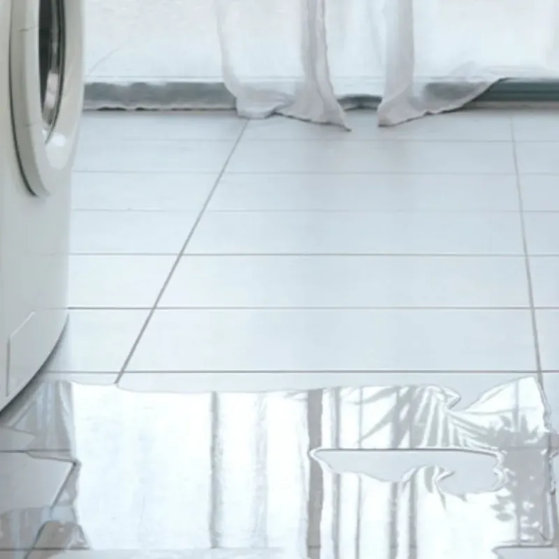 Appliance Leak Cleanup in Lyons, OR