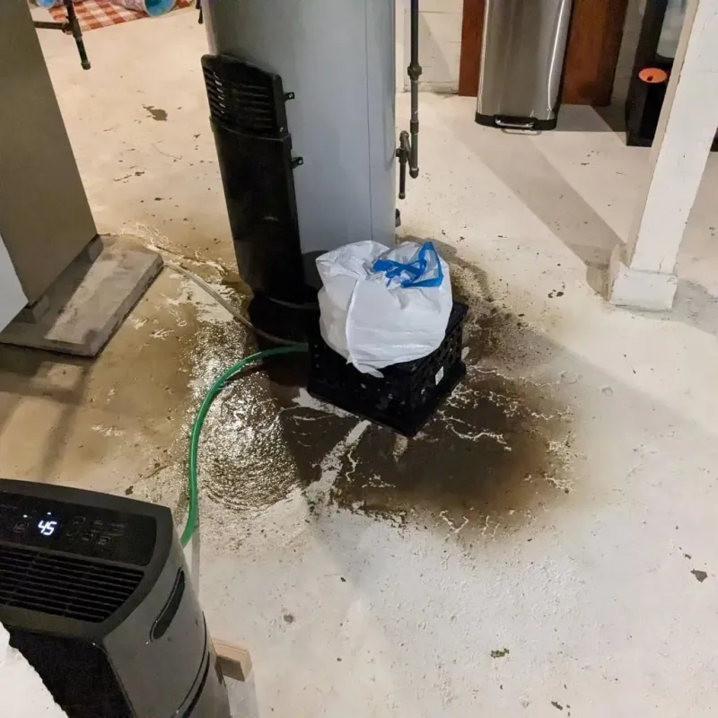 Sewage Backup Cleanup Service in Lyons, OR
